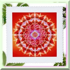 Vibrant 10×10 Inch Quilt Square with 7.5 Inch Image Area