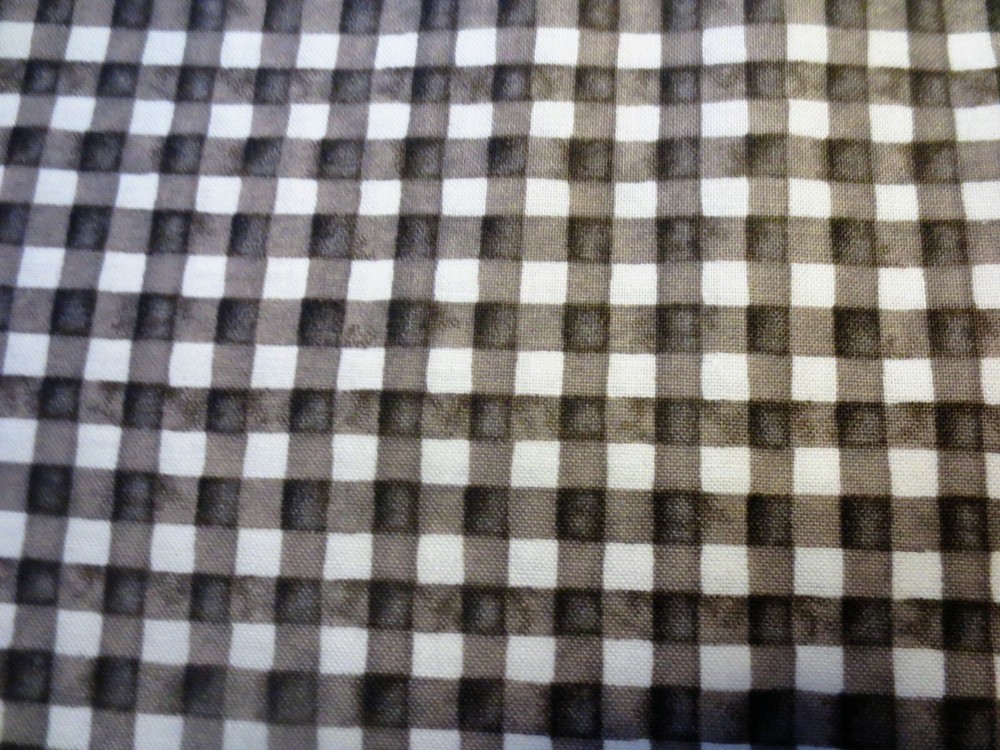 Quilting Treasures Brown And White Plaid Hungry Animal Alpha Cotton Fabric