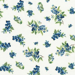 KAUFMAN – Blueberry Brunch by Sevenberry for Robert Kaufman Fabrics – White