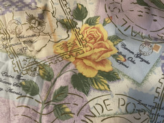 Timeless Treasures “Poetic” CM-3127 Cotton Quilt Fabric Travel, Floral BTHY