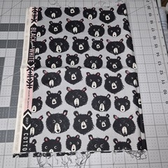Cotton + Steel Black & White Original Teddy Bear Print OOP 15×44 Quilting Fabric
