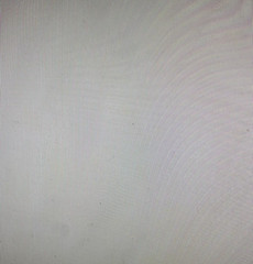Wide 108″ Cream Cotton Flannel 3.5 yards (Hobby Lobby)