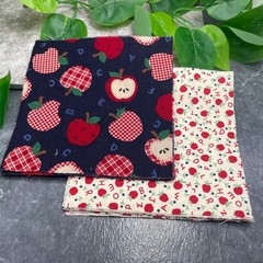24 PC 5 Inch Quilting Fabric Charm Pack 2 Designs 12 Each New Free Ship 5FS1798