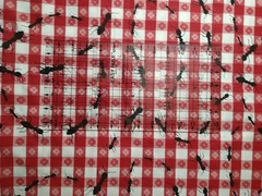 REMNANT Jaftex Red Picnic Plaid Check Fabric Ants Vintage Crafts Clothing 22×19″