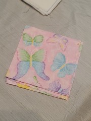 5×5 Quilt Blocks/Fabric (Precut) Lot Of 62 – Butterflies/Tie-dye/plain White