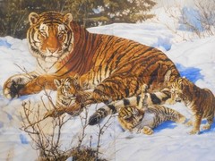 Marshall Dry Goods My Three Sons Tiger fabric panel 100% cotton 45″