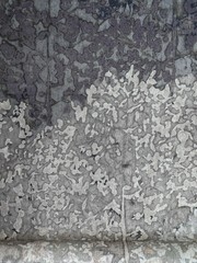 ZOFFANY CURTAIN FABRIC DESIGN Belvoir 5 1/2 Yards MINERAL