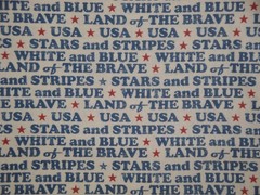 Land Of The Brave Combed Cotton Digitally Printed Patriotic Americana Fabric
