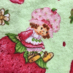 VTG Strawberry Shortcake Those Characters From Cleveland 2003 Flannel Green BTY