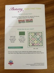 July 2026 Sew Sampler Botany DAISY CRUSH Jr Jelly Roll & Pattern