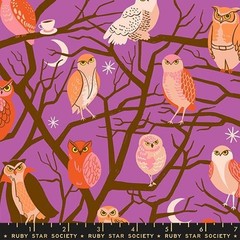 4 Fat Quarters Ruby Star Society “Freaky Familiars” Halloween Quilt Cotton