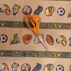Bloomcraft Screen Print Sports Cotton Fabric Baseball Football Stain Repellent