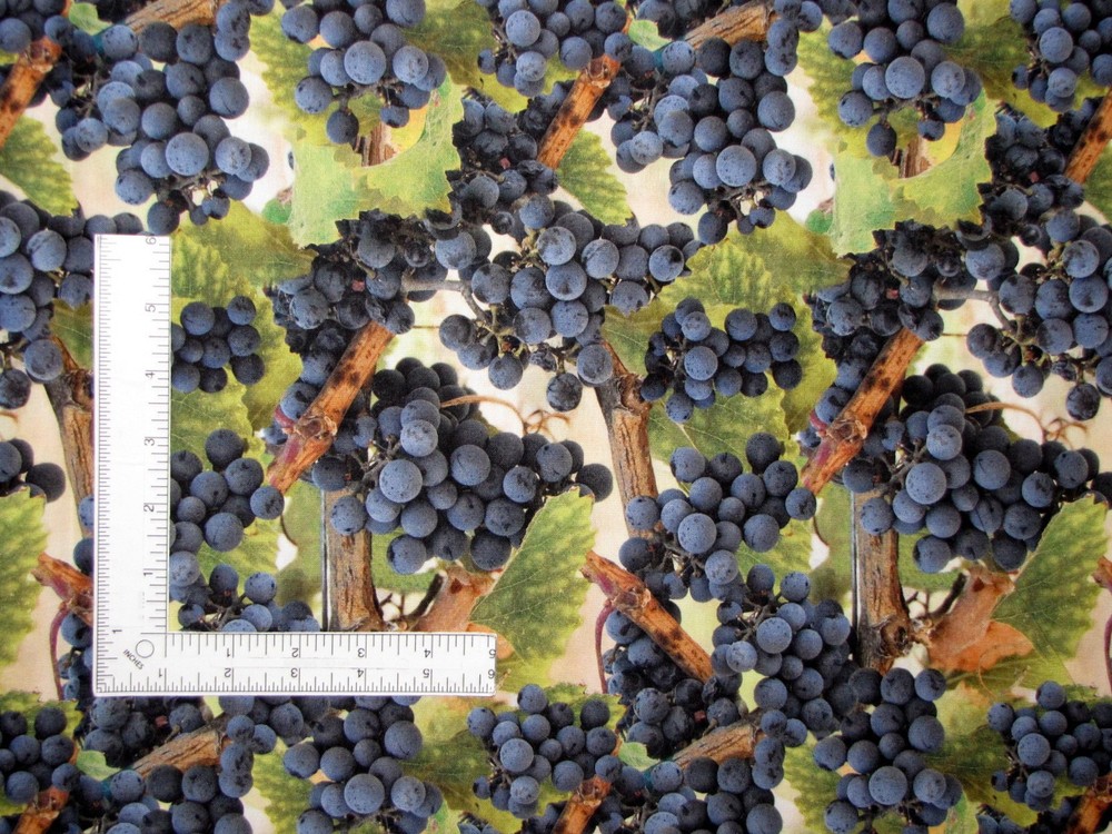 Purple Grape Fabric By The Yard Vine Fruit Wine Grapes Cotton Hoffman