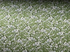Fabric First Flourish Green By RJR Fabric 42” x 45”360