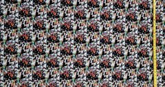 BLEACH COLLAGE ANIME 1 YARD FABRIC ( 36″ X 58″ ) BRAND NEW