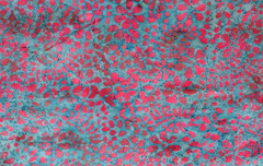 New Batik Cotton Quilting Sewing Fabric – by the Yard