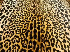 Leopard Print Cotton Velvet Fabric Braemore Jamil Natural Animal Skin Fur -140cm