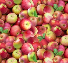 Food Festival Fabric | Packed Apple Red Green | Elizabeth’s Studio YARD