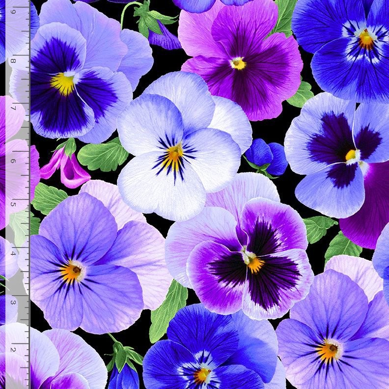 Pansy Perfection Fabric | Large Floral Purple Black | Timeless Treasures YARD