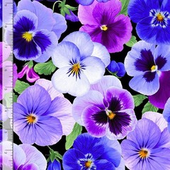 Pansy Perfection Fabric | Large Floral Purple Black | Timeless Treasures YARD