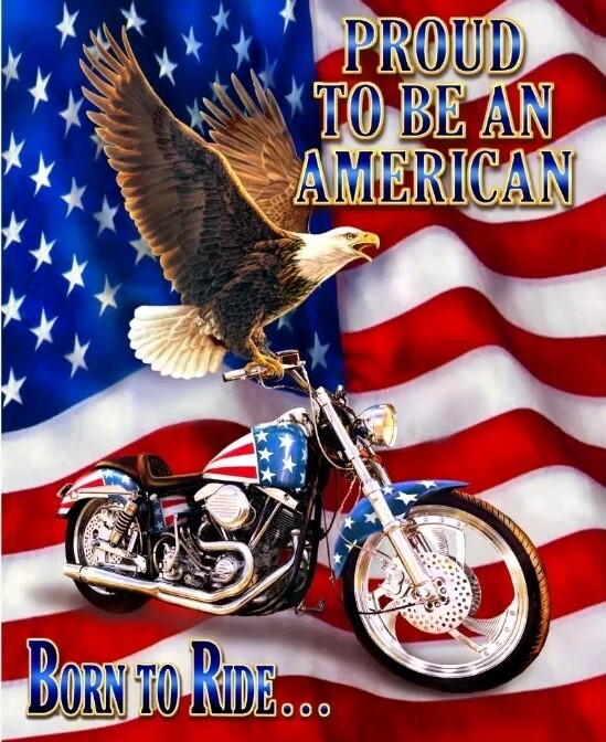 NEW 2024 – David Textile Patriotic – Proud To Be An American Quilting Panel 🇺🇸