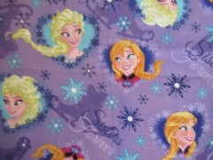 FROZEN FABRIC SISTERS ICE SKATING HEART FRAMED DISNEY FABRIC 30″ X 44″
