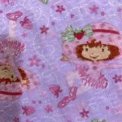 Fabric Strawberry Shortcake In A Tutu In A Purple Background 44” x 54”