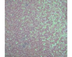 Luxury Sequin Dance Wear Stretch Fabric Material – PINK PEARL
