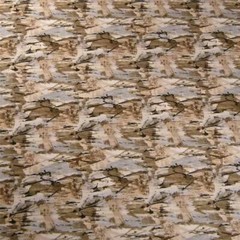 Naturescape Print; Beach, Rocks, Fields or Desert, Browns, Cotton, BTHY or BTY
