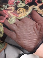 Embroidered Black Netting Fabric With Multicolored Wool Thread
