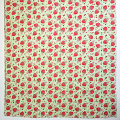 VTG Strawberry Shortcake Those Characters From Cleveland 2003 Flannel Green BTY