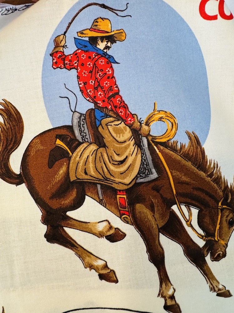 Western Cowboy RODEO Applique Cotton Fabric Panel BRONCO BUSTIN Horses Sew Quilt
