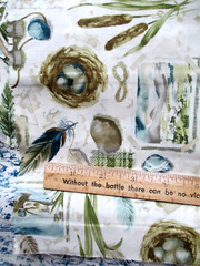 Fabric Red Rooster “Nature’s Sketchbook” Bird Nest Binoculars Ferns Ducks $4.95