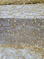 “Embroidered Fabric with 3D Flowers and Gold Lace – Sold by the Yard with Sequin