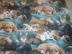 Real Dogs & Cats Resting Together Cotton Fabric -15 INCHES WIDE & 36 INCHES LONG