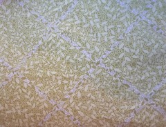 Silent Cinema Westminster Fibers Cotton Twill Fabric in Lime Green and White 2.6