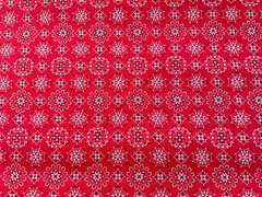 Western bandana Robert Kaufman Sevenberry red cowboy BTY