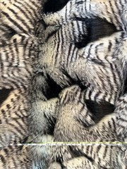 Black White Fancy Feather Long Hair Faux Fur Upholstery Fabric