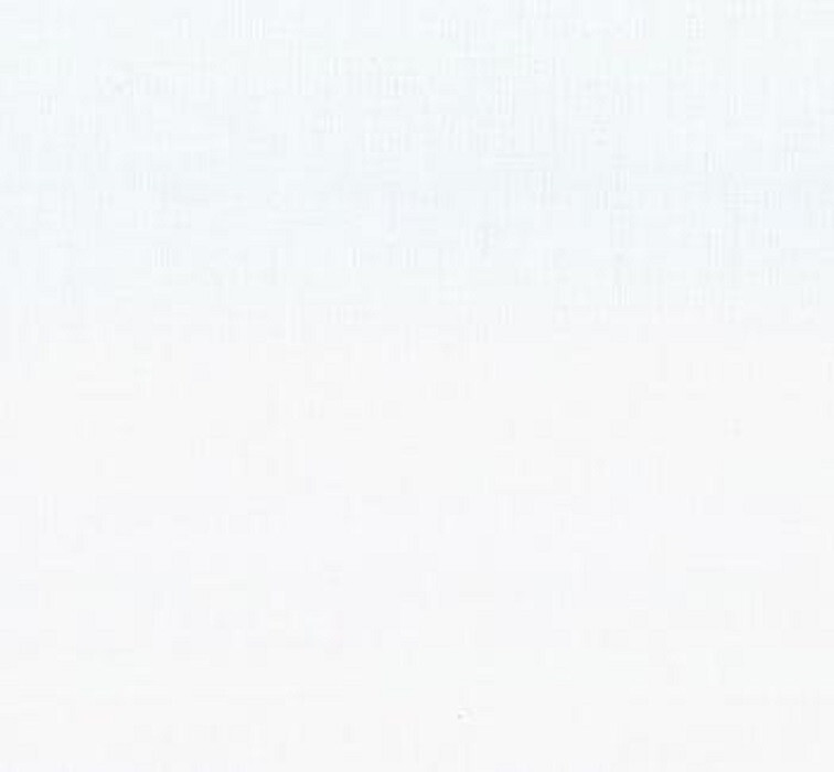 Moda Fabrics 9950 11 MODA MUSLIN “WHITE”120” BTY