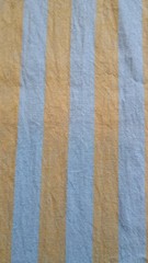 Ruby Star Society Warp Weft Clothesline Stripe Golden Cotton Fabric ~95×43″