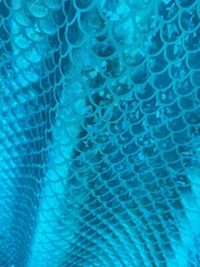 MERMAID Scale Fabric Fish Tail Material Stretch Spandex 59″ wide Aqua on Blue