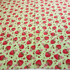 VTG Strawberry Shortcake Those Characters From Cleveland 2003 Flannel Green BTY