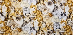 BTHY REALISTIC CUDDLE CATS KITTENS PETS ANIMALS New Cotton Fabric