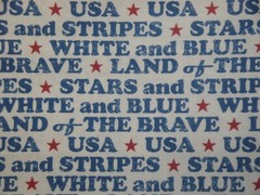 Land Of The Brave Combed Cotton Digitally Printed Patriotic Americana Fabric