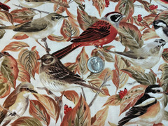 JoAnn’s Bird cotton quilt fabric Fall colors by the yard