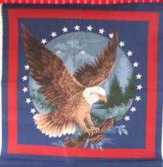 Wamsutta EAGLE 2 square pillow top FABRIC PANEL 2 mirror imanges 16″ 18 x 45″