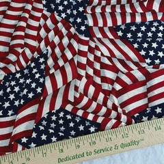 Cranston American Flag Patriotic Antique Look Quilting Cotton Fabric USA BTHY