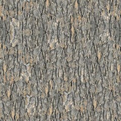 Nocturnal Wonders By Quilting Treasures – Grey Tree Bark #27068-K