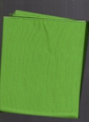 1 yard glissinet 60″ wide 90% nylon 10% spandex green