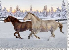 Hoffman – Call Of The Wild – 31.5″ Mustangs Horse Panel – Sunset